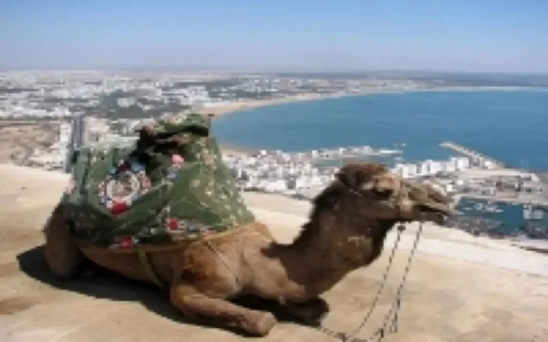 500000 touristes à Agadir depuis le début de l'année