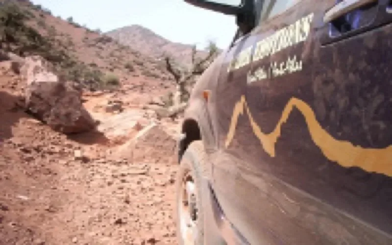 Tourisme : plus 7% d'arrivées à fin novembre