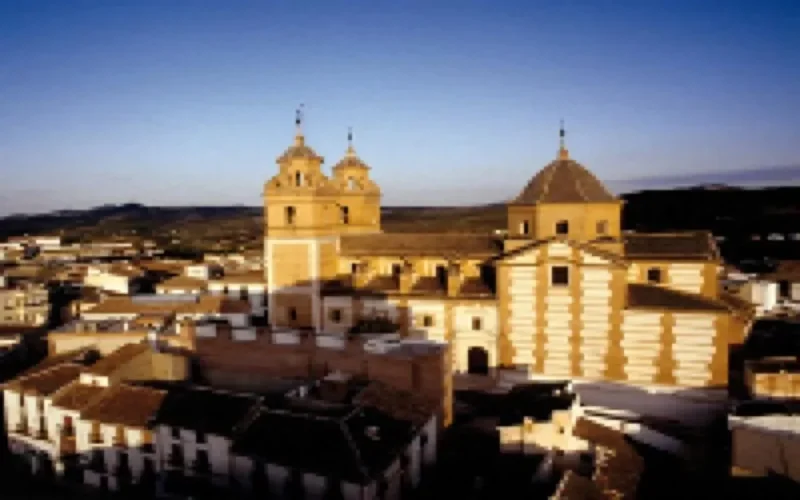 Les MRE d'Almeria étudiés