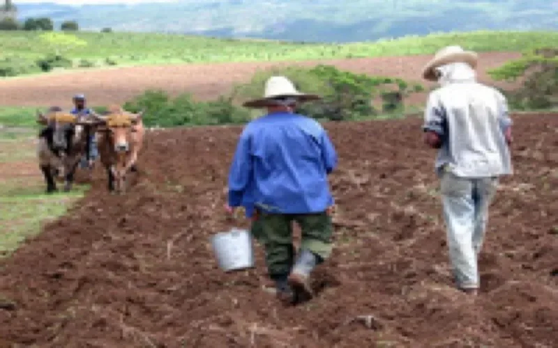 80 millions d'euros pour la coopération maroco-belge