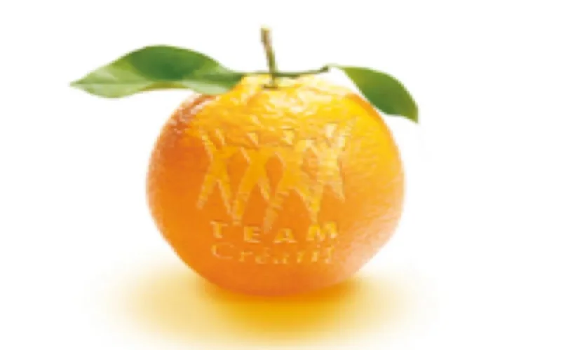 Team Créatif s'installe à Casablanca 