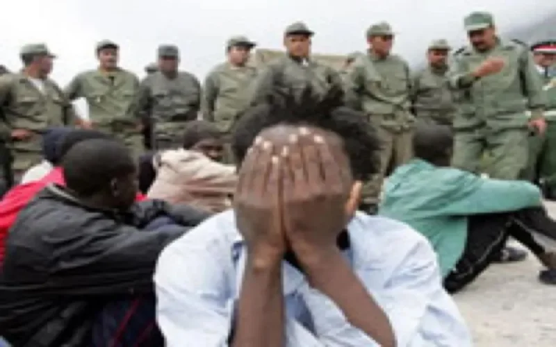 109 clandestins subsahariens arrêtés à Oujda