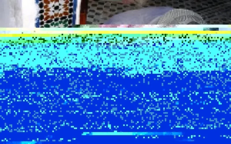 L'APP investit 400 millions de dollars à fin 2010