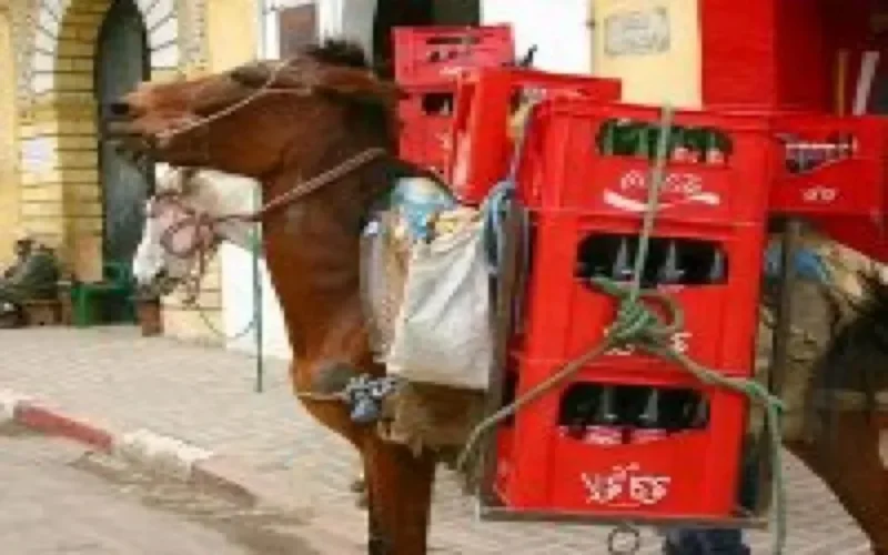 Imad Benmoussa à la tête de Coca-Cola Moyen-Orient