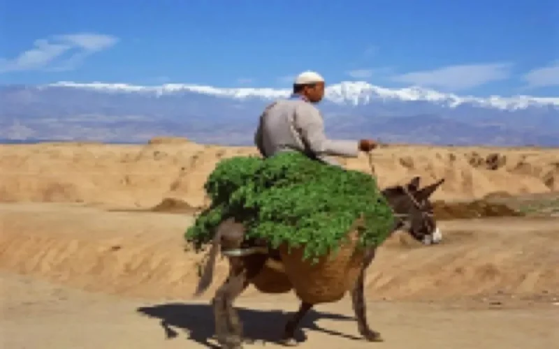 France 5 raconte 3000 ans d'histoire au Maroc