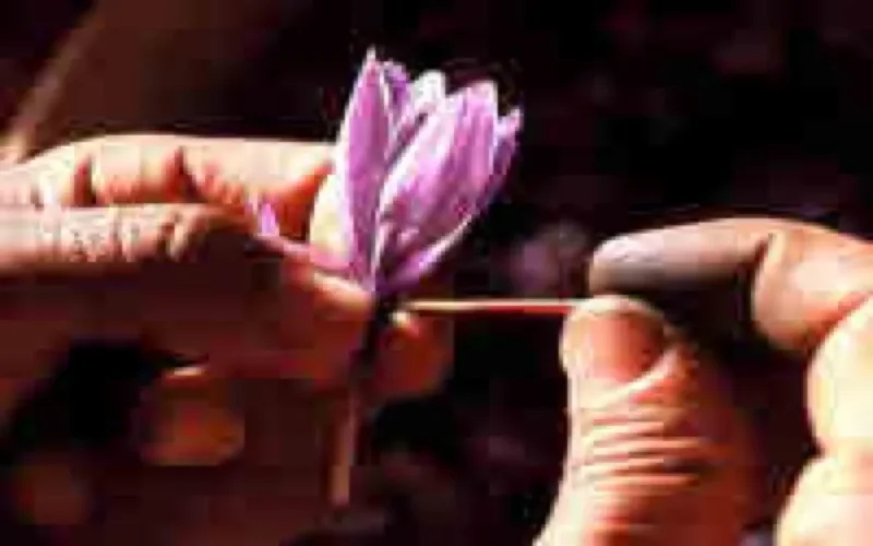 "Vu sur terre : Maroc" sur France 5