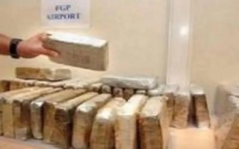 Un Français arrêté en possession de 290 kilos de drogue à Tanger