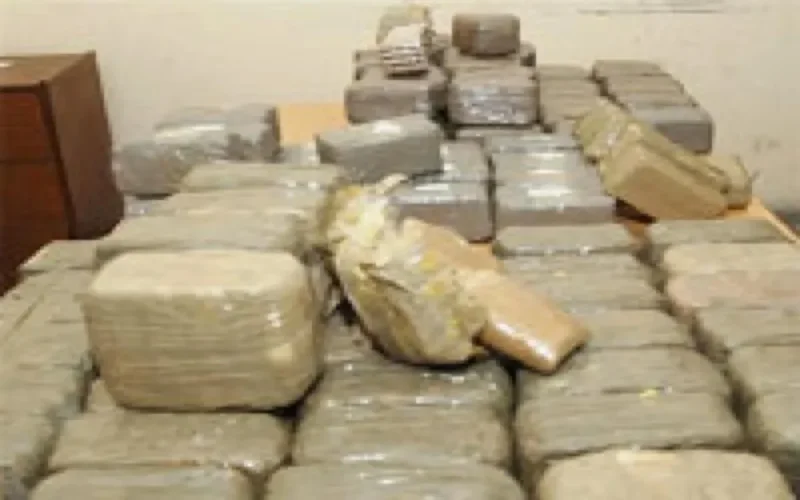 Un Américain et un Italien arrêtés pour trafic de drogue à Tanger Med 