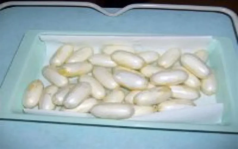 Une mule arrêtée à l'aéroport de Casablanca avec 7 kilos de cocaïne