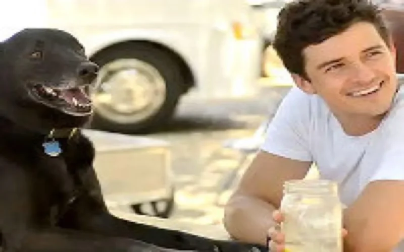 Orlando Bloom : "Jamais sans Sidi, mon chien marocain"