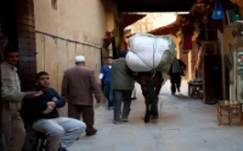 L'ancienne médina de Fès