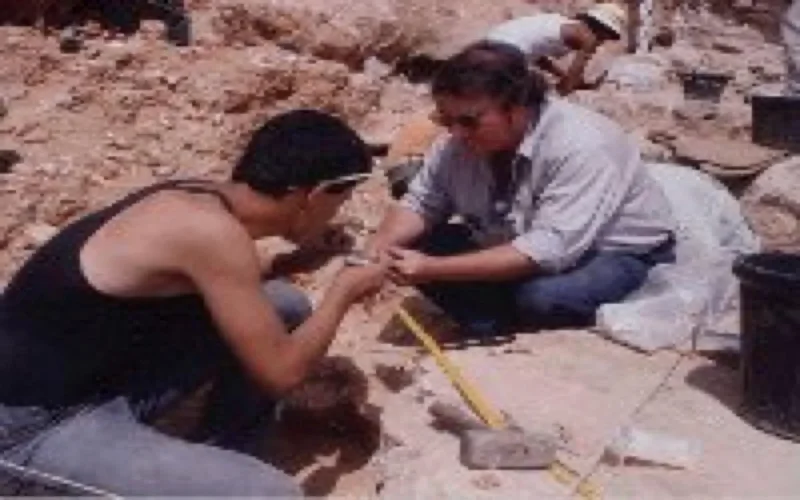 Des restes humains vieux de 450.000 ans découverts à Casablanca