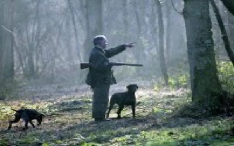 Un Marocain tué par un chasseur en Espagne