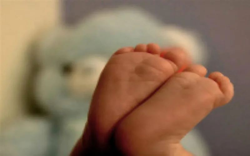 Pays-Bas : baisse de natalité chez les Marocaines 