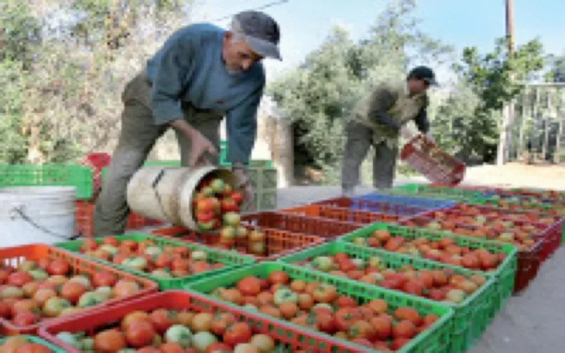 L'accord agricole Maroc-UE approuvé