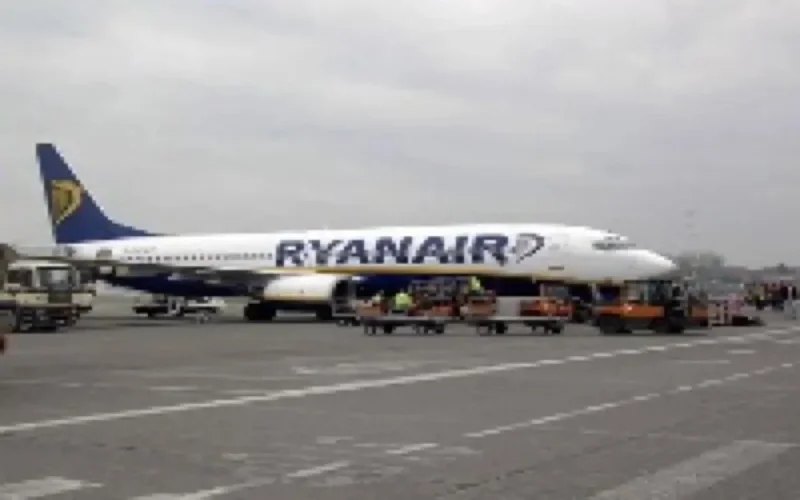 Un avion provenant du Maroc percute des oiseaux en plein vol