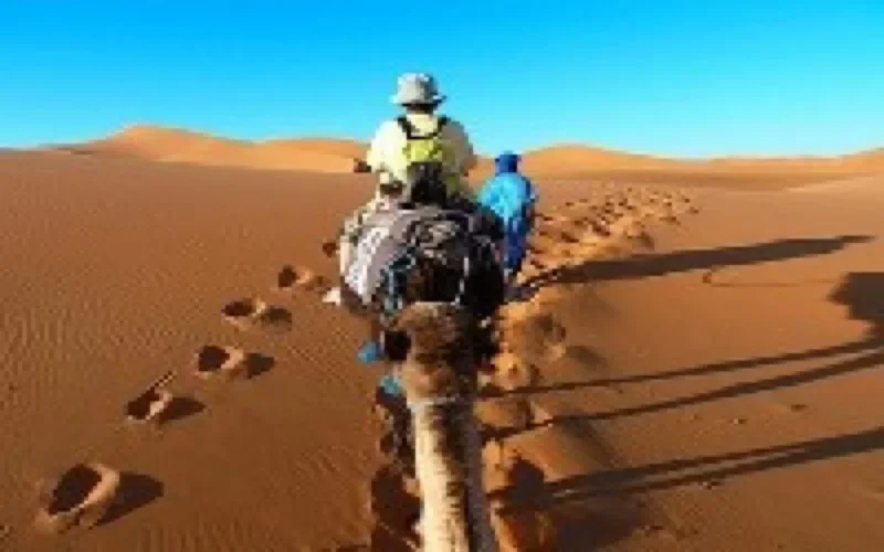 Loi de finances 2012 : alcool, cigares et touristes surtaxés