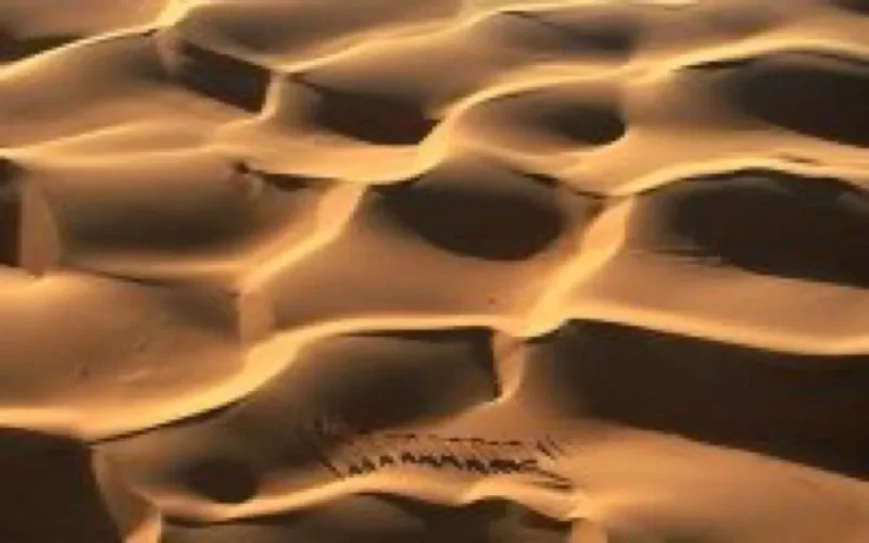 Les attentats de Madrid planifiés en plein Sahara