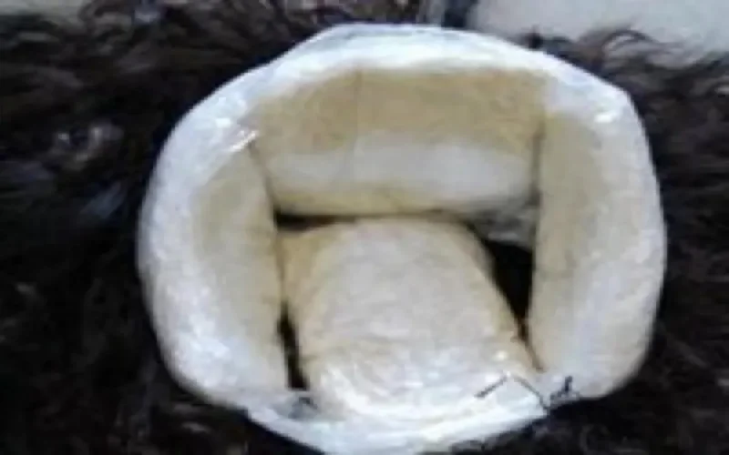 Insolite : une Brésilienne arrêtée avec de la cocaïne dans sa perruque