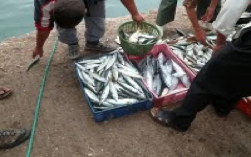 "Désaccord" de pêche entre le Maroc et l'Union européenne