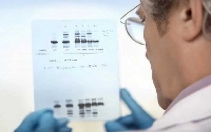 Melilla impose des tests ADN aux Marocains