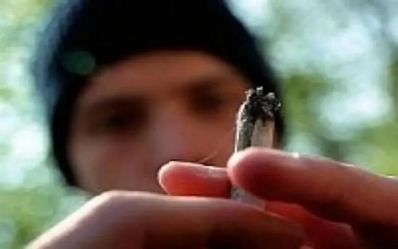 En Belgique, le marché du cannabis contrôlé par des groupes marocains