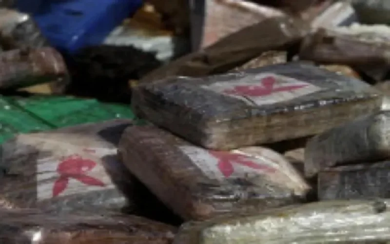 20 tonnes de drogue en provenance du Maroc saisies en Italie