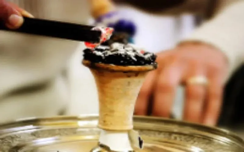 Maroc : la chasse aux chichas