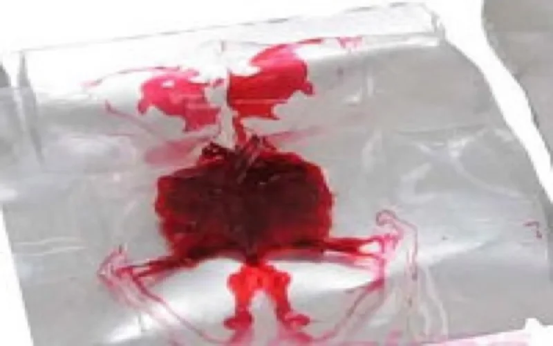 A vendre : virginité à 500 DH