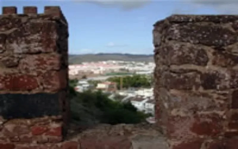 Exposition itinérante de peintres calligraphes marocains au Portugal
