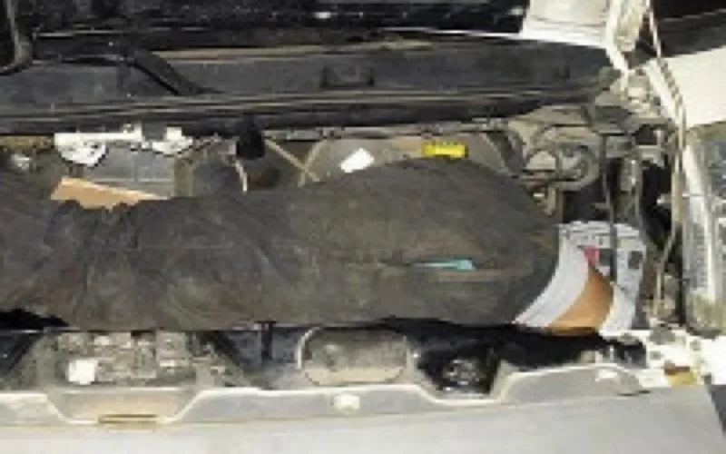 Un Marocain découvert caché dans le moteur d'une camionnette à Melilla