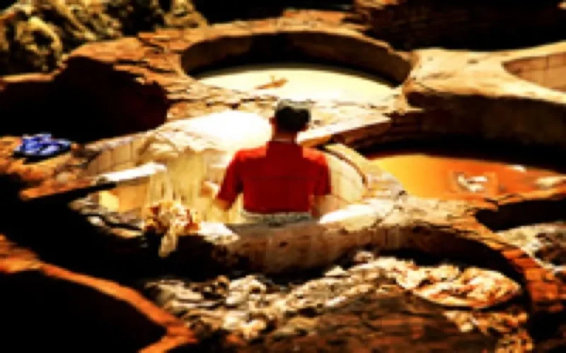 Fès : La saison touristique sauvée par les MRE