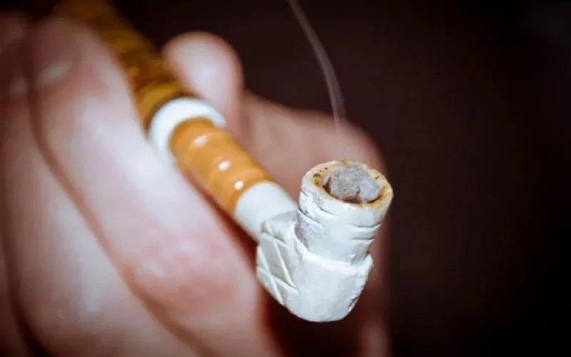 Le Maroc leader mondial de production et d'exportation de haschich