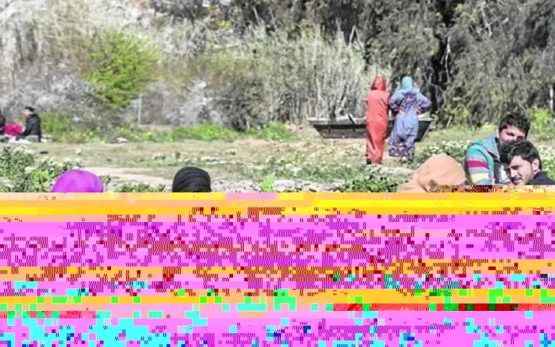 Des réfugiés syriens s'introduisent en Espagne avec de faux passeports marocains