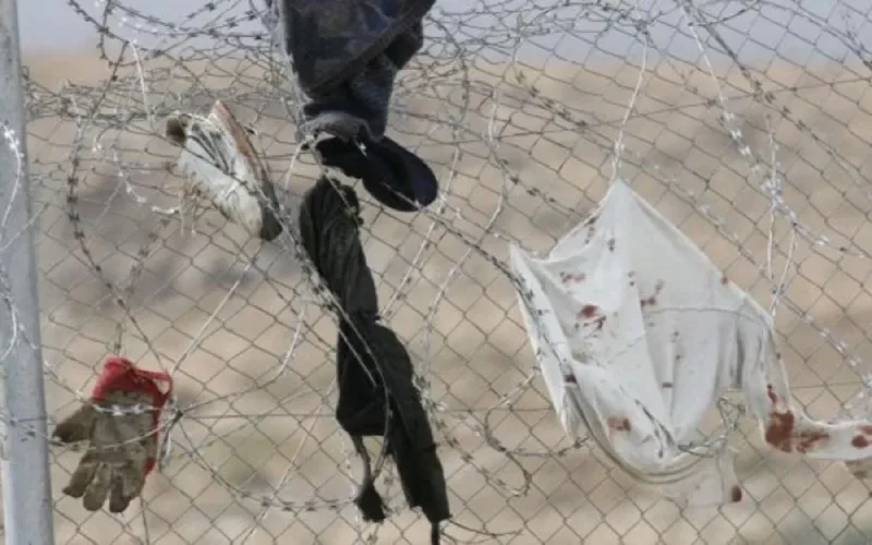 Des centaines de migrants forcent le passage à Melilla, 300 réussissent