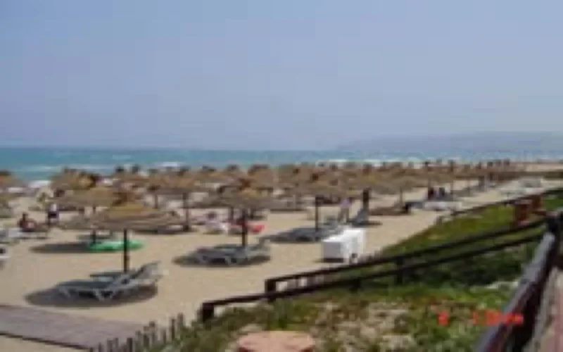 Saïdia : des Allemands en quête d'opportunités