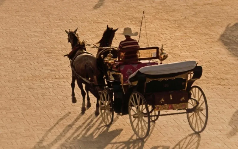 De plus en plus de Brésiliens visitent le Maroc