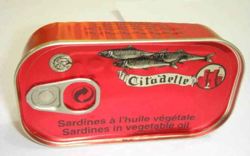 Le Maroc premier producteur de poissons en Afrique et dans le monde arabe