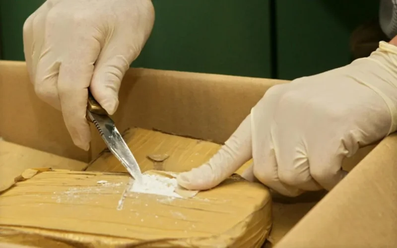 Saisie record de cocaïne : procès reporté au 29 septembre