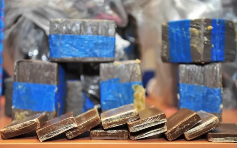 Réseau « Furax », plus de 50 tonnes de drogue en 14 mois