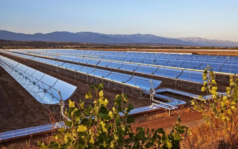 Le Maroc, 9è mondial au classement climatique