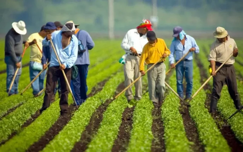 L'Italie recrute de la main d'œuvre au Maroc