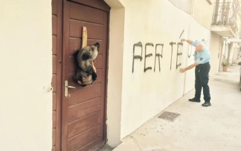 Corse : Une tête de sanglier acrochée à l'entrée d'une mosquée