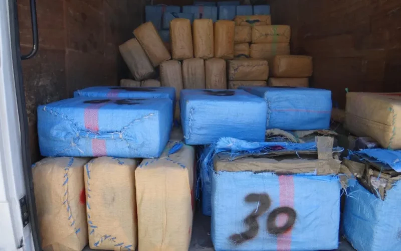 Saisie record de cannabis à Moulay Yaacoub