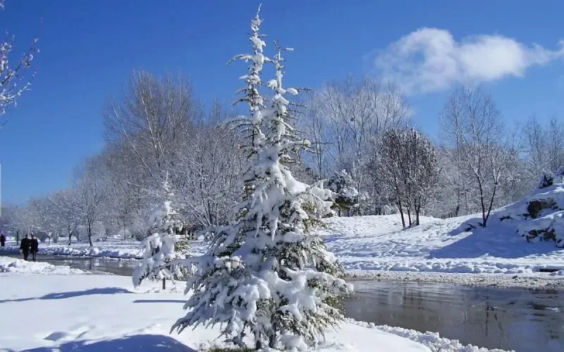 Ifrane sous la neige (Photos)
