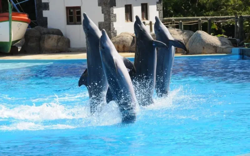 Agadir aura son parc d'attractions, "Agadirland"