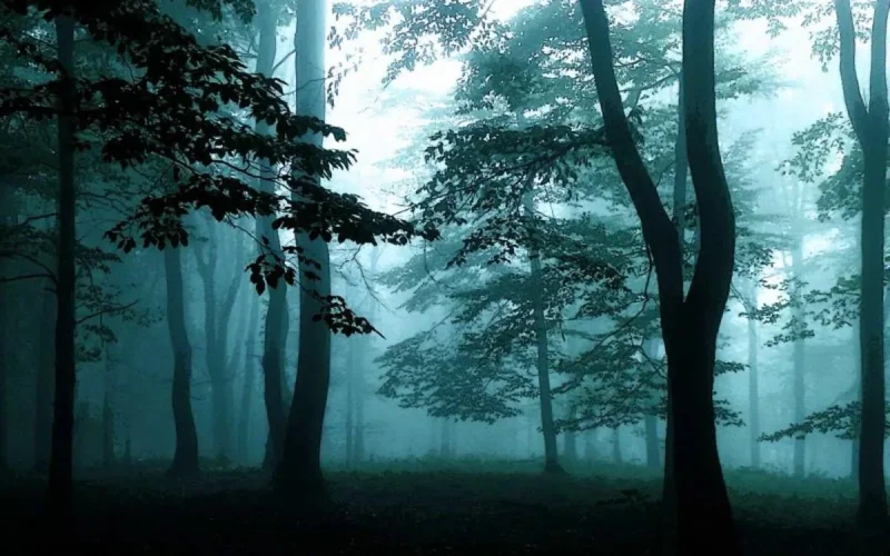 Maroc : deux femmes, dont une espagnole, kidnappées et violées à Sidi Kacem