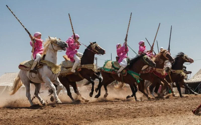 Maroc : les autorités se méfient de la poudre de carabine utilisée dans la fantasia (tbourida)