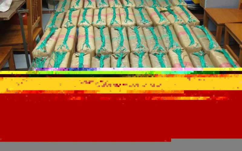 1770 kilos de drogue saisis à Larache, les trafiquants en fuite