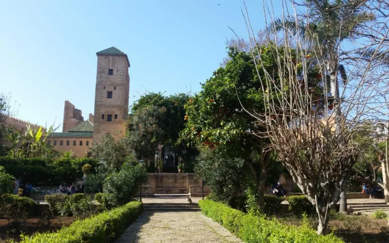 TF1 "fait de la pub" pour Rabat et Salé (Vidéo)